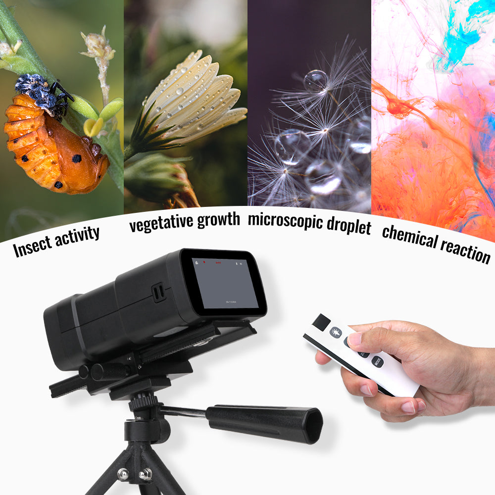 S3 Macro Camera 10cm Macro Photography Captures Amazing Insect Detail CMOS high-sensitivity sensor